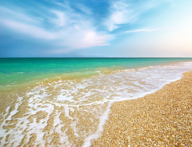 Bellissima costa della spiaggia. Composizione della natura.