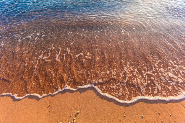 Bellissima costa della spiaggia nell'egitto del mar rosso