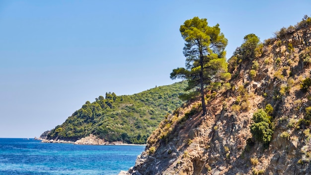 Bellissima costa di Halkidiki