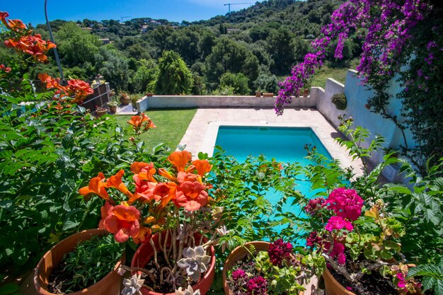 Bellissima giornata mediterranea con vista giardino all'aperto con piscina al centro