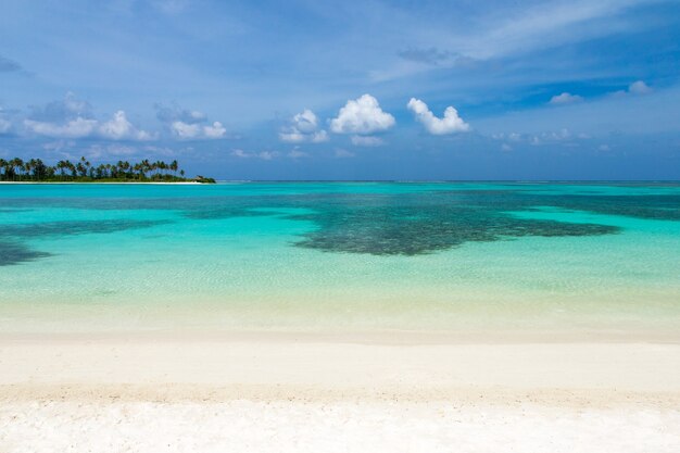 Bellissima isola tropicale delle Maldive con spiaggia