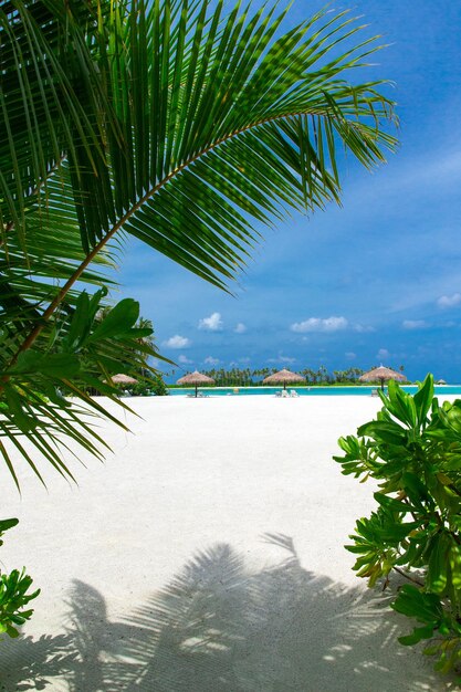 Bellissima isola tropicale delle Maldive con spiaggia