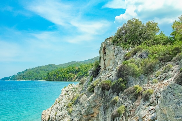 Bellissima natura in riva al mare sulla natura sullo sfondo del parco