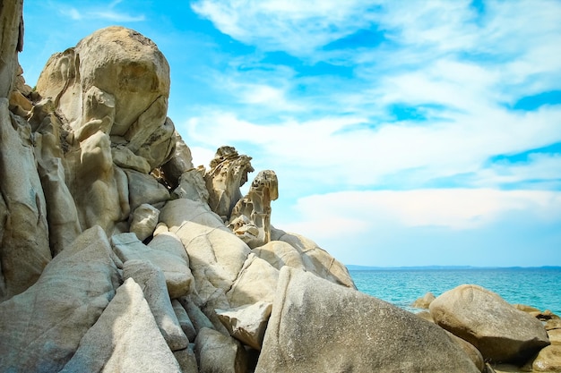 Bellissima natura in riva al mare sulla natura sullo sfondo del parco