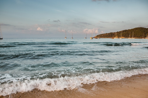 Bellissima spiaggia con acqua molto pulita e azzurra sul mar mediterraneo nell'isola di Ibiza