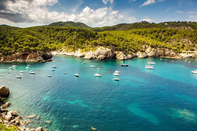 Bellissima spiaggia con acqua molto pulita e azzurra sul mar mediterraneo nell'isola di Ibiza