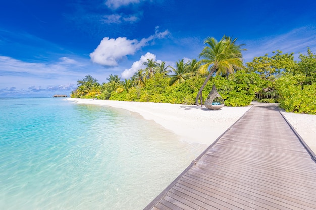 Bellissima spiaggia con molo in legno e palma verde nell'isola delle Maldive. tranquillo paesaggio tropicale