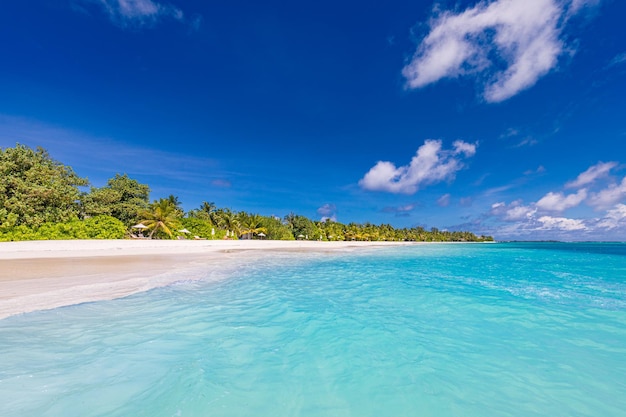 Bellissima spiaggia con palme e cielo lunatico Vacanze estive viaggio vacanza sfondo