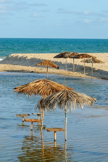 Bellissima spiaggia Conde vicino a Joao Pessoa Paraiba Brasile