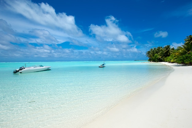 Bellissima spiaggia e mare tropicale. paesaggio di viaggio