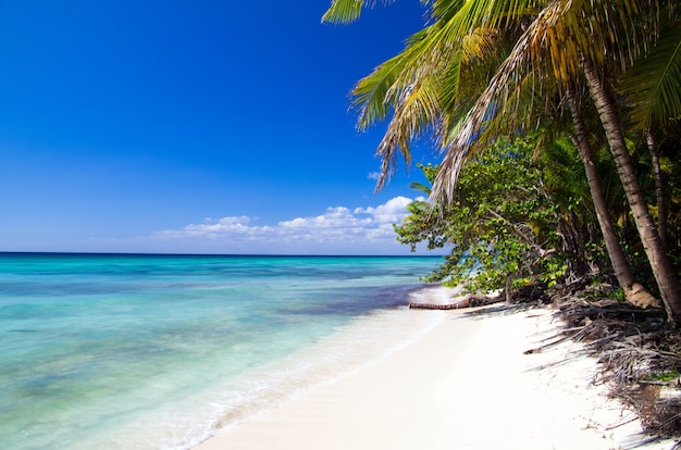 Bellissima spiaggia e mare tropicale