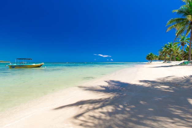 Bellissima spiaggia e mare tropicale