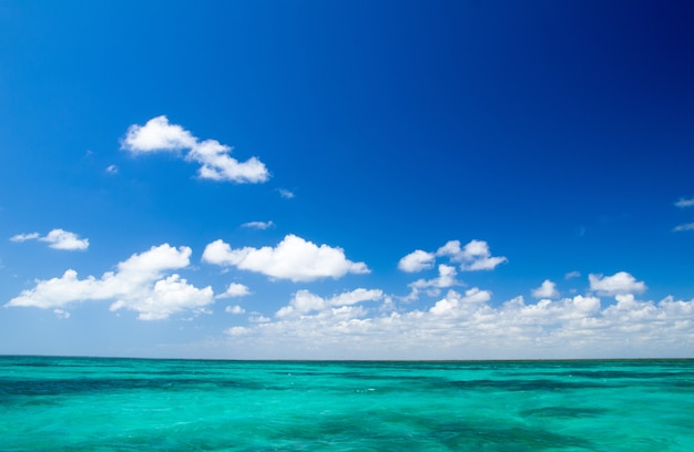 Bellissima spiaggia e mare tropicale