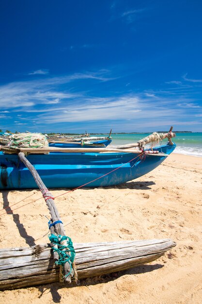 Bellissima spiaggia e mare tropicale