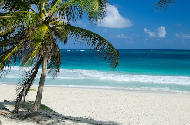 Bellissima spiaggia e mare tropicale