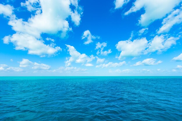 Bellissima spiaggia e mare tropicale