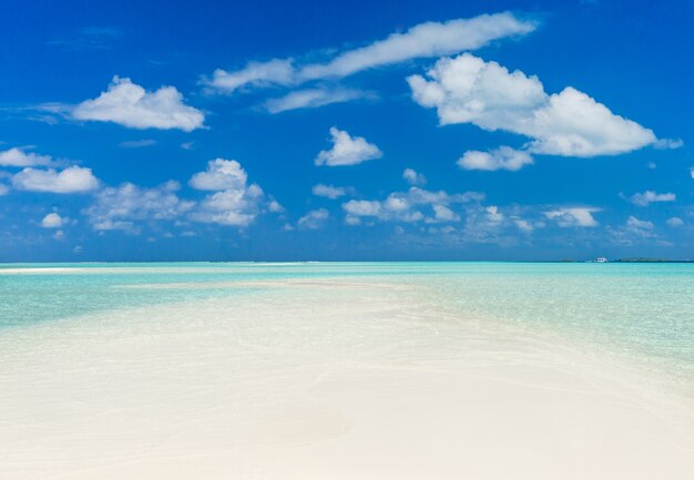 Bellissima spiaggia e mare tropicale