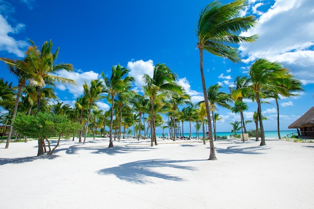 Bellissima spiaggia e mare tropicale