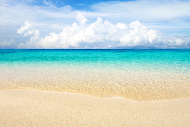 Bellissima spiaggia e mare tropicale