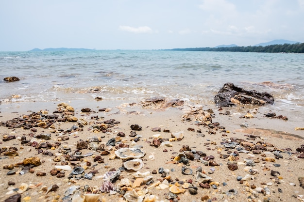 Bellissima spiaggia e mare