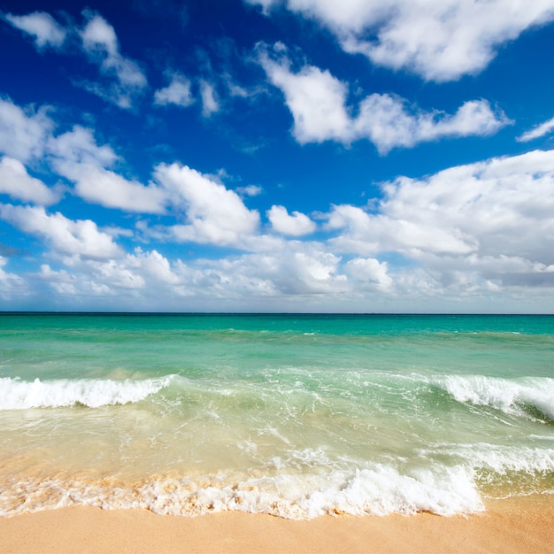 Bellissima spiaggia e mare