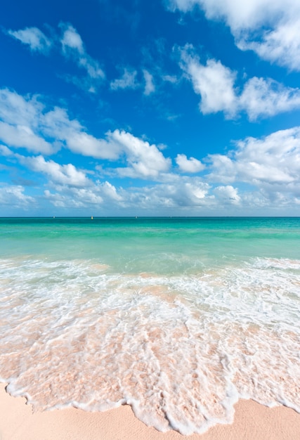 Bellissima spiaggia e mare