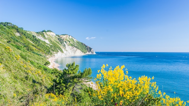 Bellissima spiaggia in una baia unica con mare blu e paesaggio di montagne verdi green