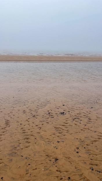 bellissima spiaggia sabbiosa nella nebbia