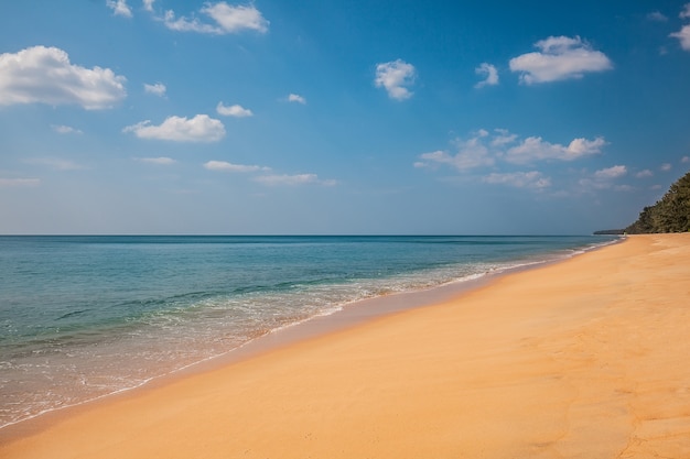 Bellissima spiaggia tropicale di sabbia e mare