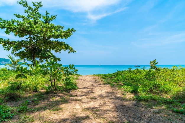 Bellissima spiaggia tropicale e mare nell&#39;isola paradiso