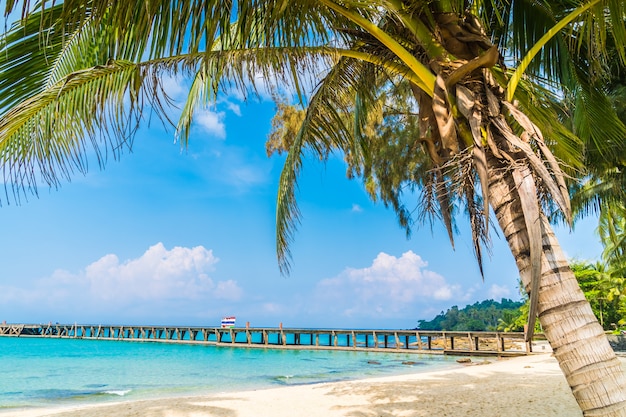 Bellissima spiaggia tropicale e mare