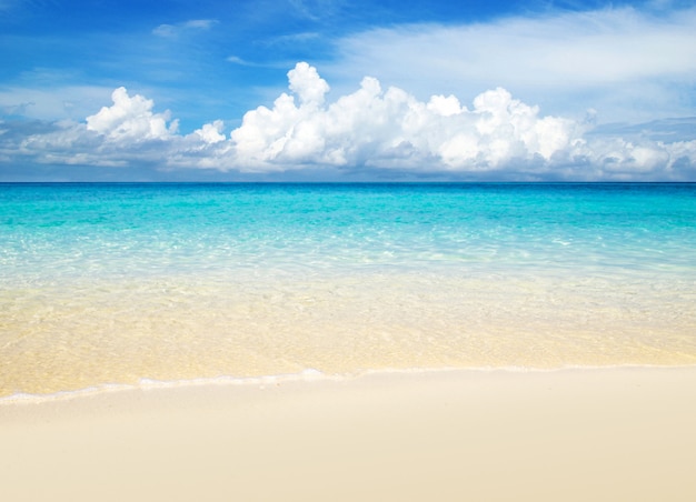 Bellissima spiaggia tropicale, vista sull'orizzonte tra il mare e il cielo