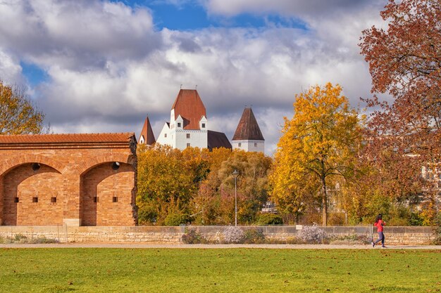 bellissima vista autunnale nel parco parkautumn con alberi gialli e erba gialla nella città di Ingolstadt, Baviera, Germania