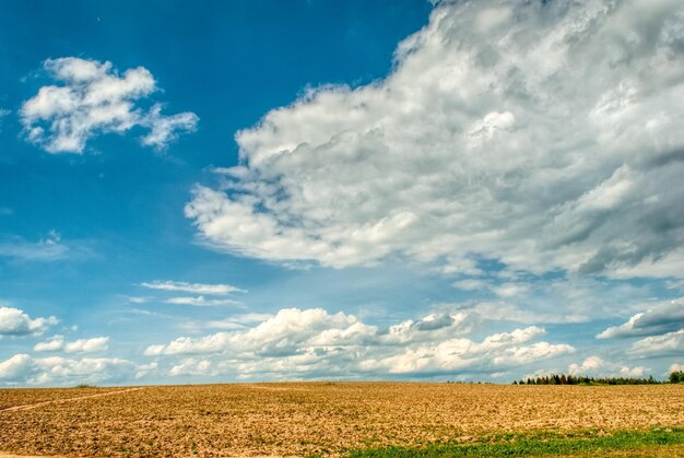 bellissima vista del campo agricolo