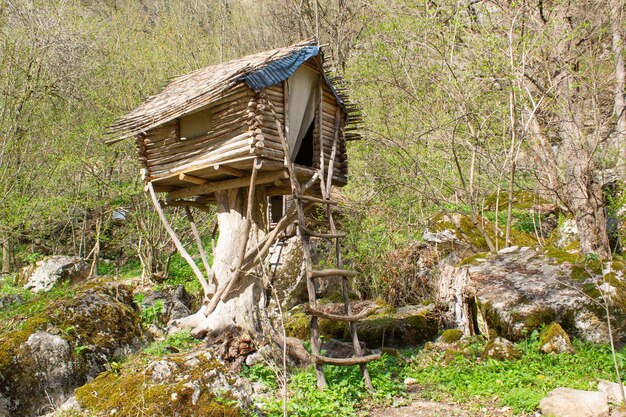 Bellissima vista della casa in legno nella foresta