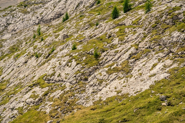 Bellissime Alpi con montagne rocciose coperte di muschio verde