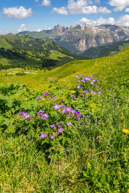 Bellissime Alpi con montagne verdi sotto il cielo