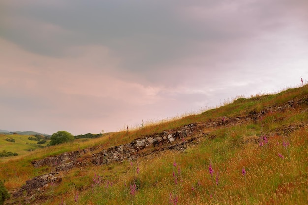 Bellissime colline verdi in Inghilterra