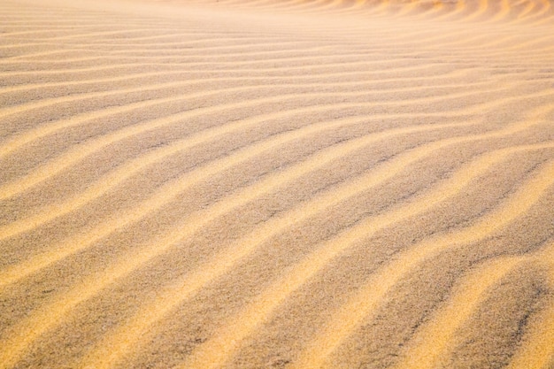 Bellissime dune di sabbia