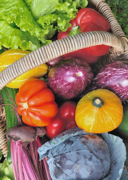 Bellissime e colorate verdure di stagione in cesto di vimini