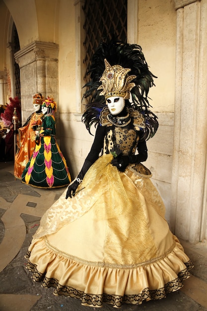 Bellissime e fantastiche maschere e costumi di eleganti e magnifici disegni al Carnevale di Venezia