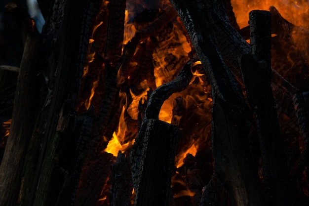 Bellissime fiamme di fuoco in un primo piano di un fuoco di campo