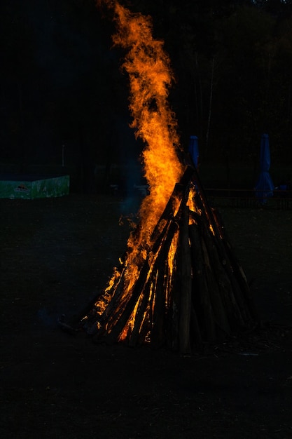 Bellissime fiamme su un fuoco da campo in primo piano