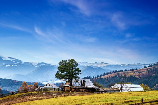 Bellissime foreste che coprono le montagne dei Carpazi e un piccolo villaggio