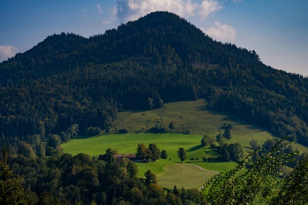 bellissime foto estive dal lago in Baviera schliersee