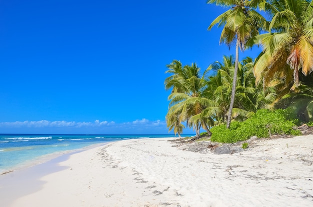 Bellissime isole dei Caraibi