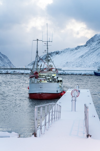 Bellissime Lofoten scandinave settentrionali in inverno