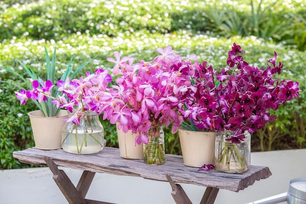 Bellissime orchidee rosa lilla in un vaso in giardino tropicale all'aperto concetto di natura Esotico bouquet di orchidee colorate