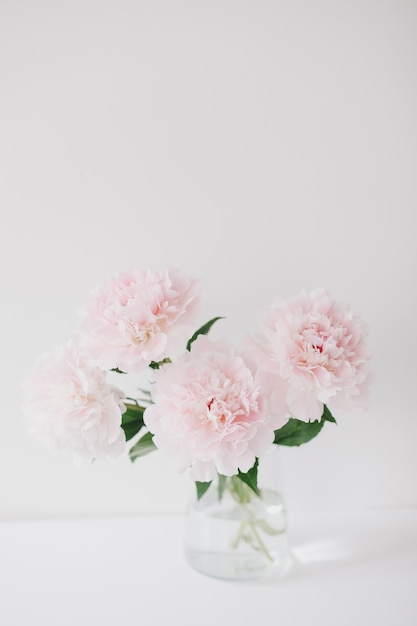 Bellissime peonie rosa