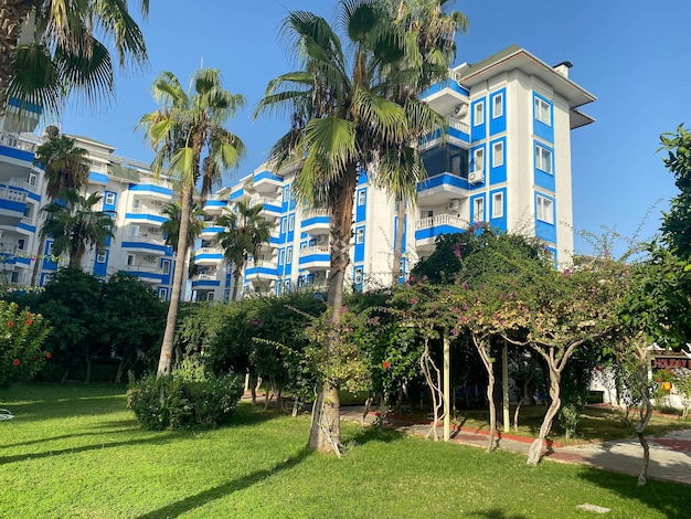 Bellissime piante e palme che abbelliscono in un hotel in vacanza in un caldo tropicale orientale